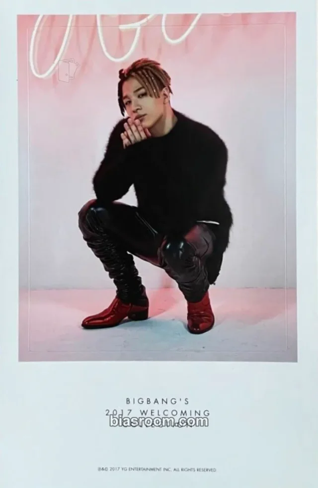 BIGBANG - Taeyang - BIGBANG'S 2017 WELCOMING COLLECTION Other dvd/blu-ray inclusion sticker
