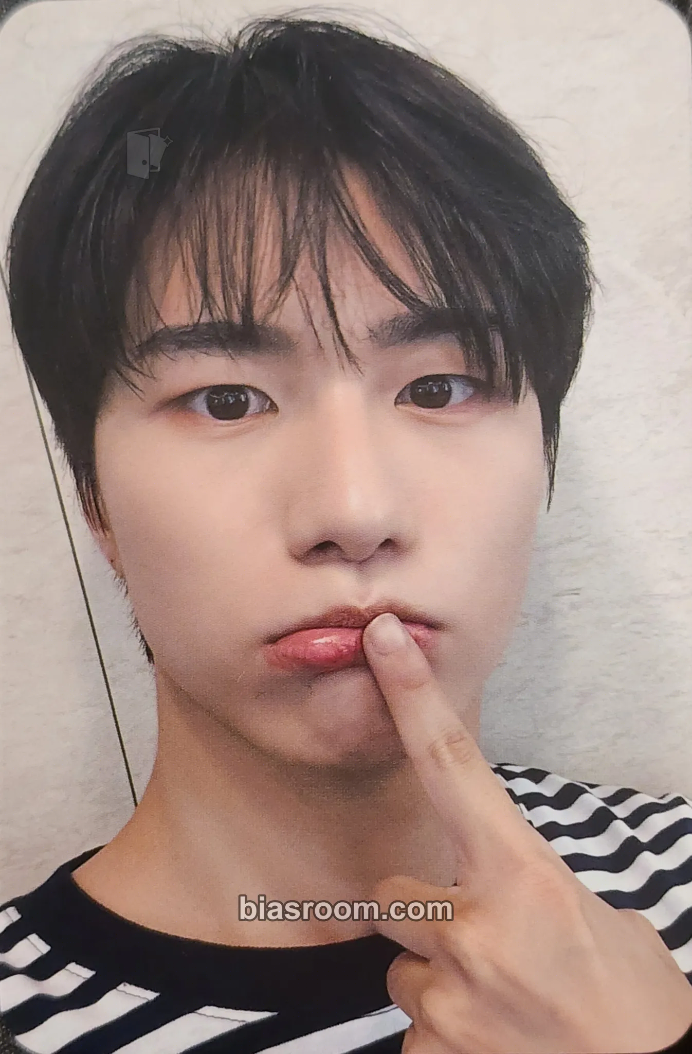 Seungsik Chronicle Fanconcert Photocard - VICTON - VICTON K-pop photocard