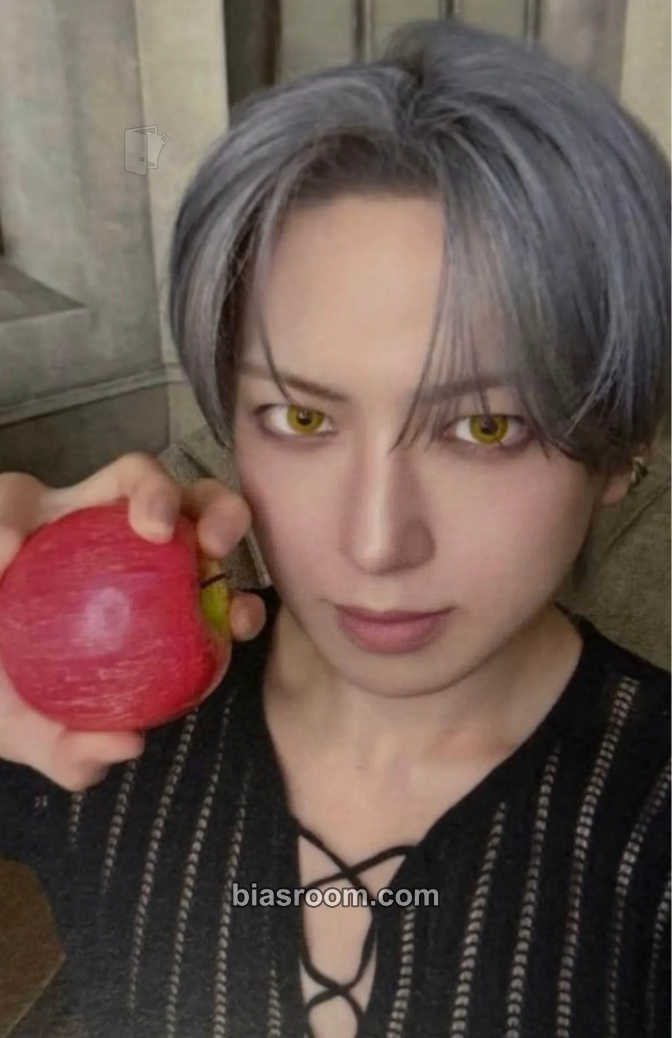 Fuma First Howling : NOW Photocard - &TEAM | Bias Room