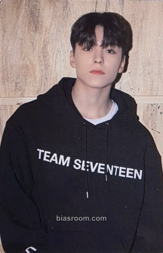 SEVENTEEN - Vernon - 2022 6TH SVT IN CARAT LAND Event fan meeting merch photocard trading card