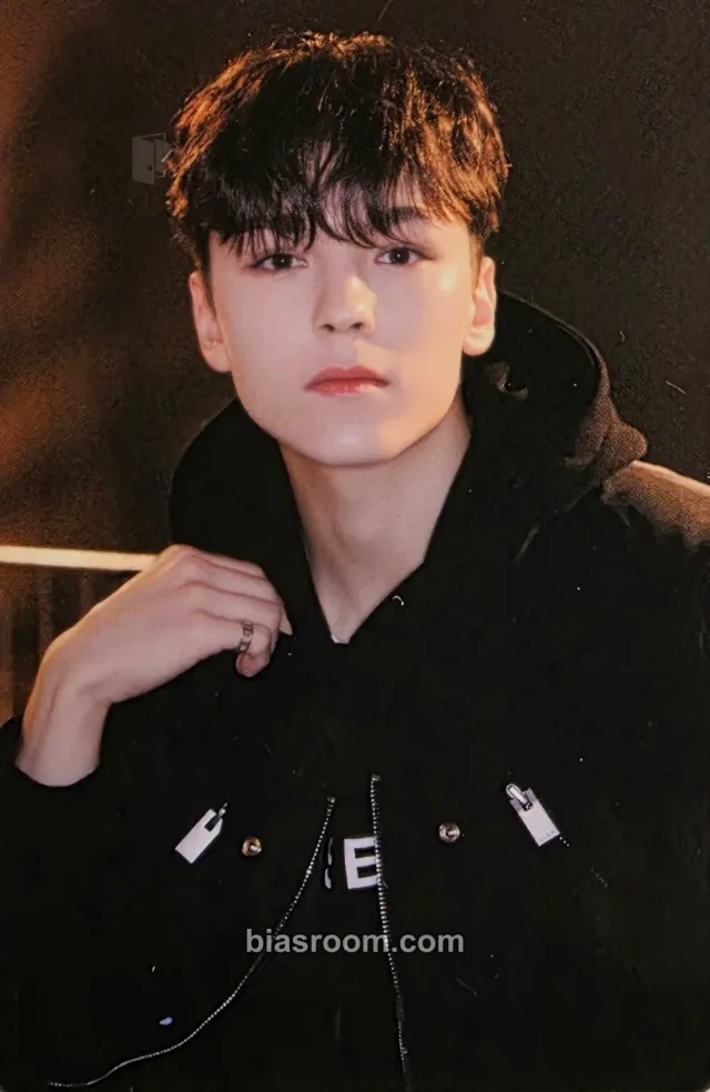 SEVENTEEN - Vernon - 2022 6TH SVT IN CARAT LAND Event fan meeting merch photocard trading card