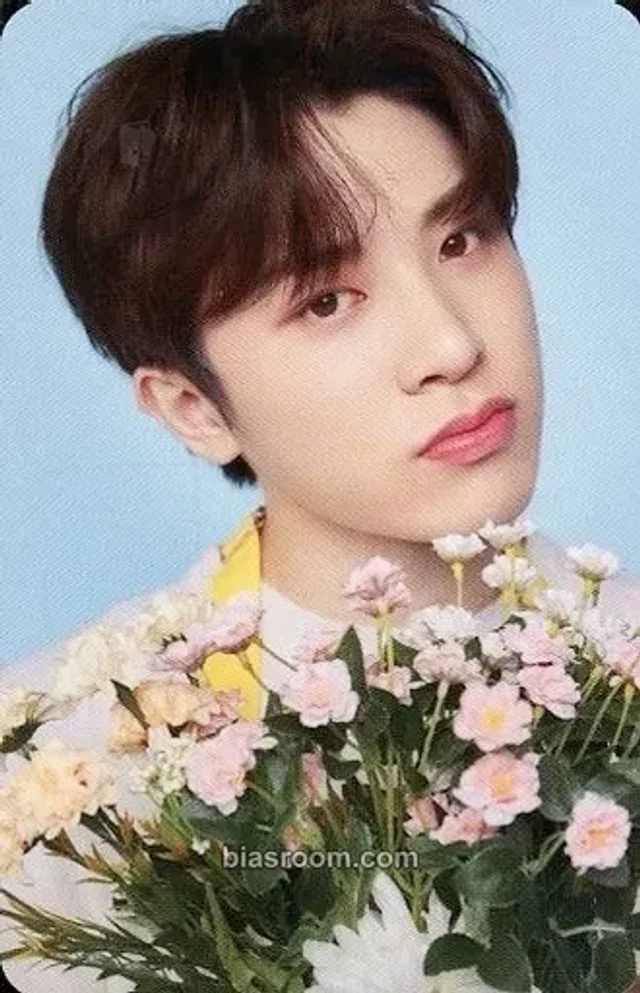 TREASURE - So Junghwan - Blooming Treasure Other merch photocard toploader kit photocard set