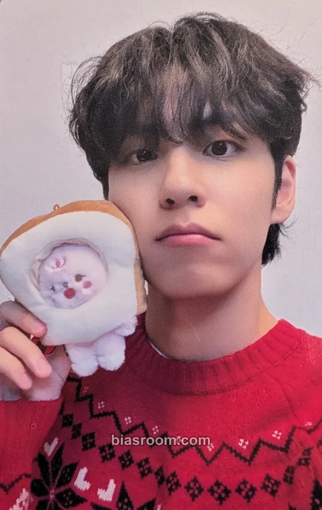 DAY6 - Wonpil - DAY6 10th Anniversary Tour The Decade Event concert merch photocard