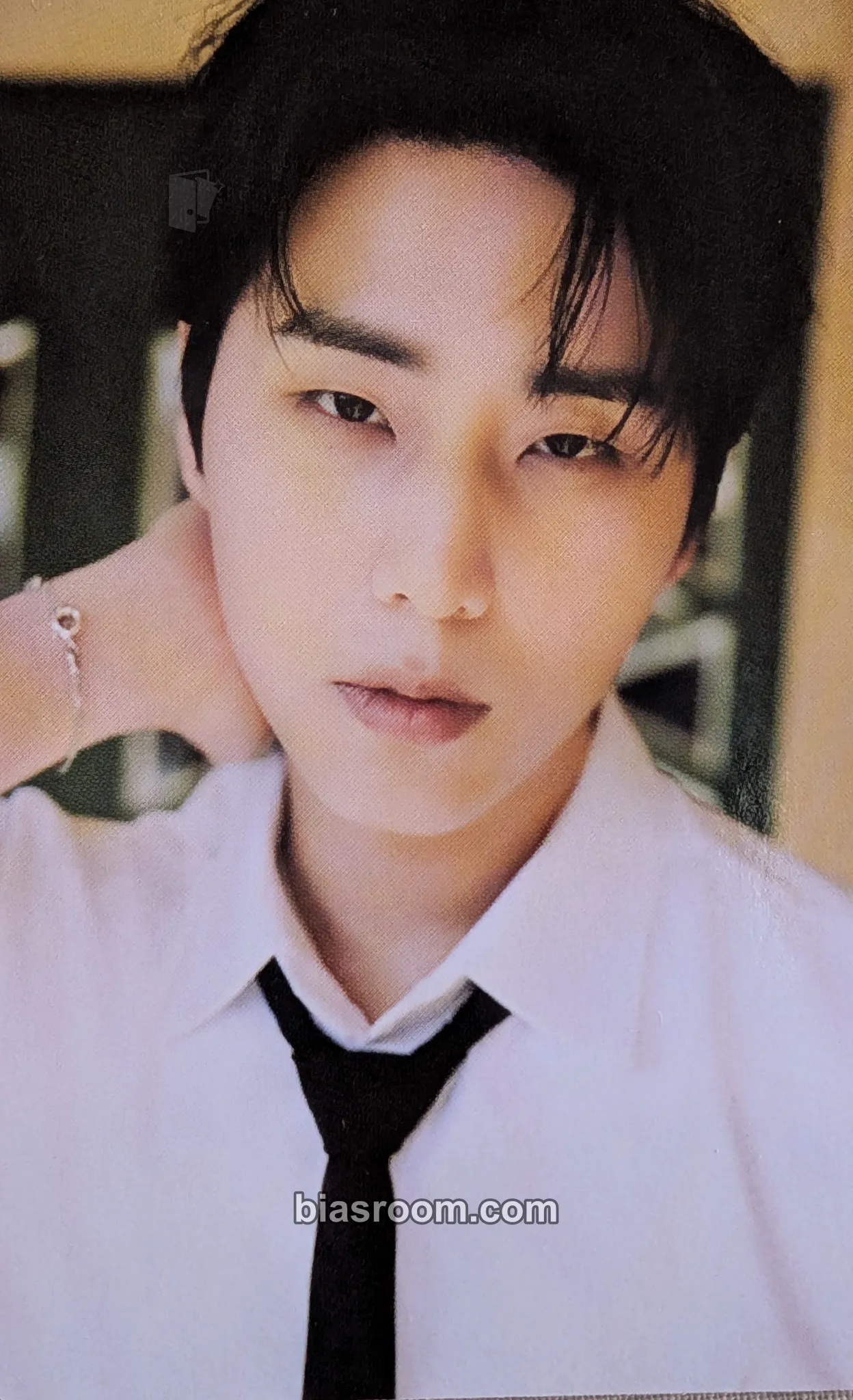 Young K Dicon No. 27 - Perfect Day6 Photocard - DAY6 - DAY6 K-pop photocard
