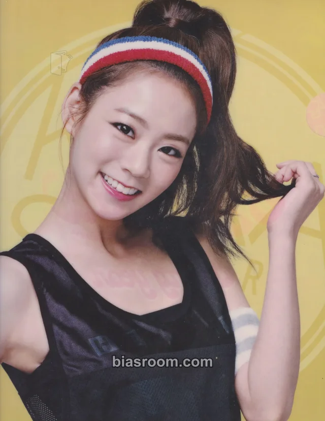 KARA - Seungyeon - KARASIA 3rd Japan Tour Event clear file/l-holder tour exclusive