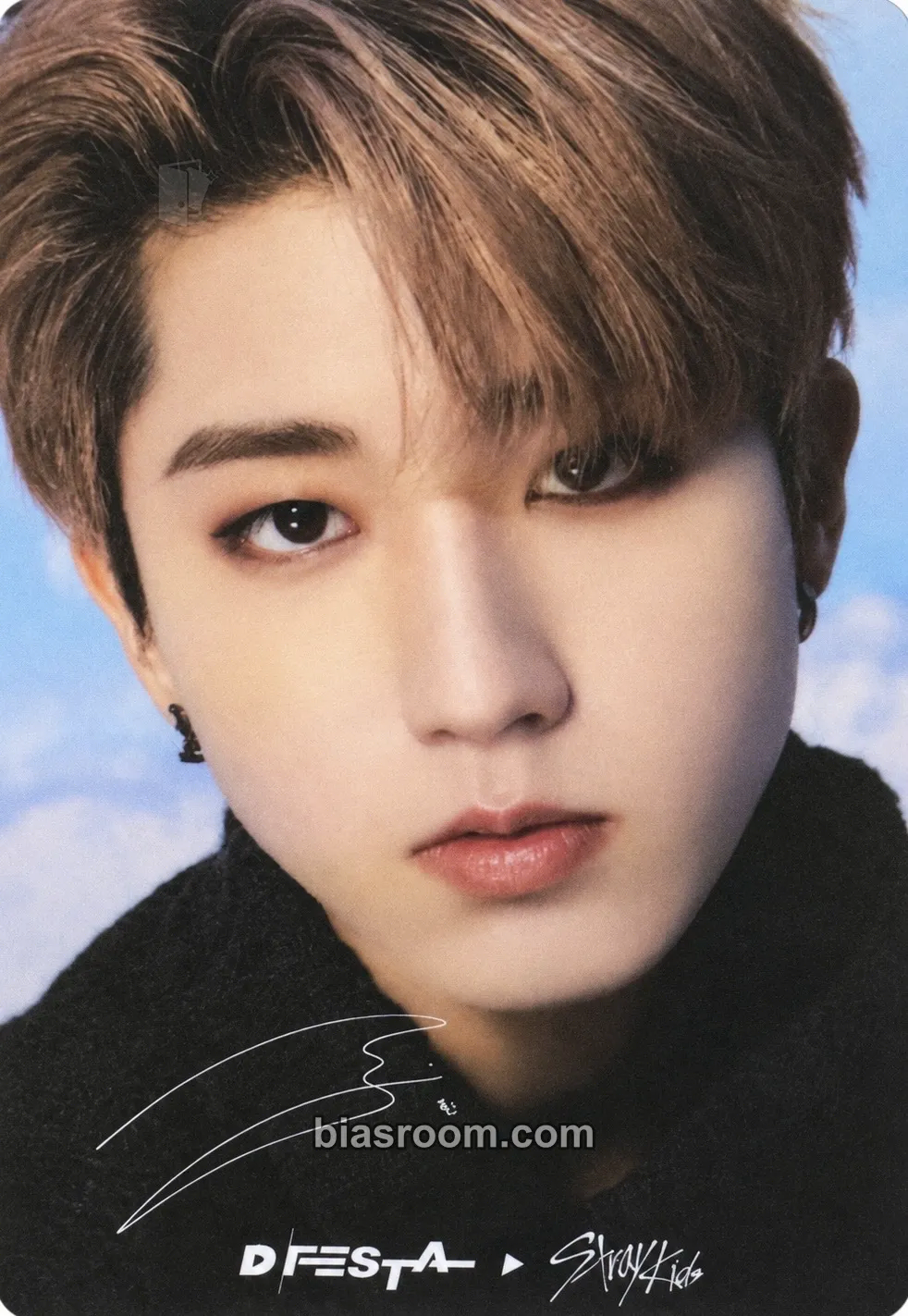 HAN D'FESTA Photocard - Stray Kids - Stray Kids K-pop photocard