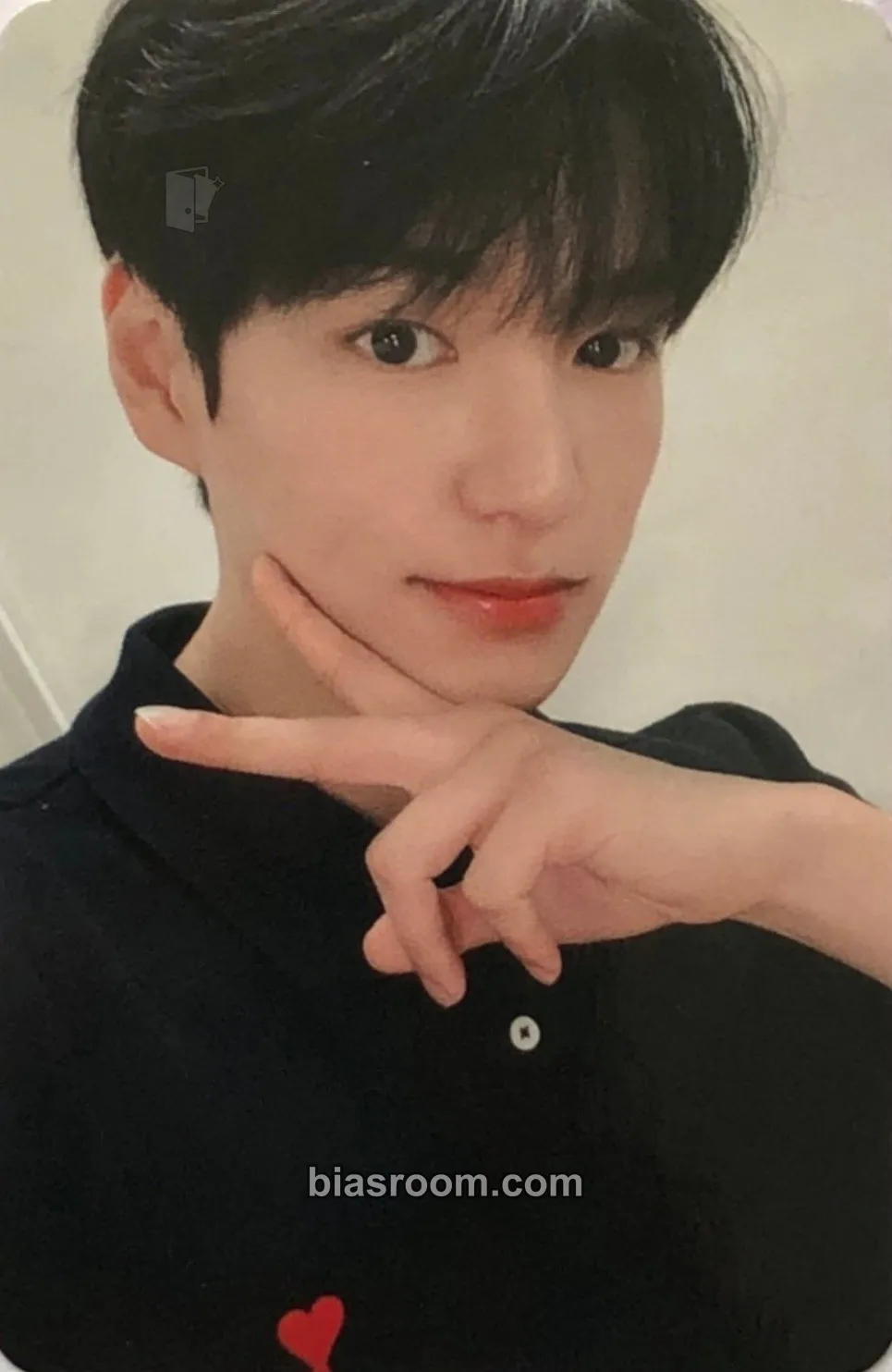 Chan VICTONの春 : ONE DAY Fanconcert Photocard - VICTON – VICTON K-Pop-Photocard