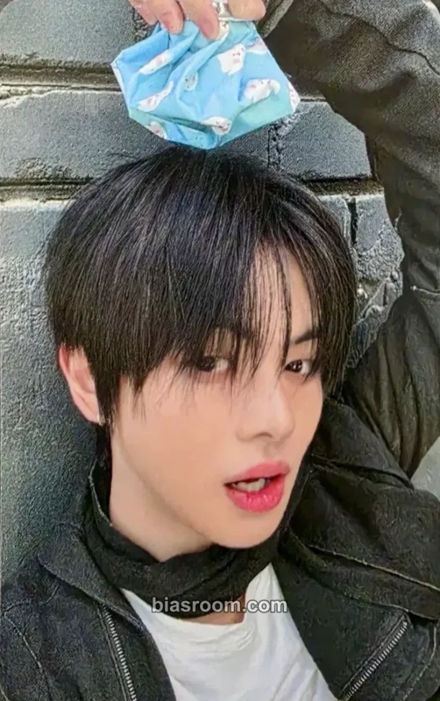 ALPHA DRIVE ONE - Leo - UNBREAKABLE : 少年BEAST Album pob (pre-order benefit) fragile beast version apple music