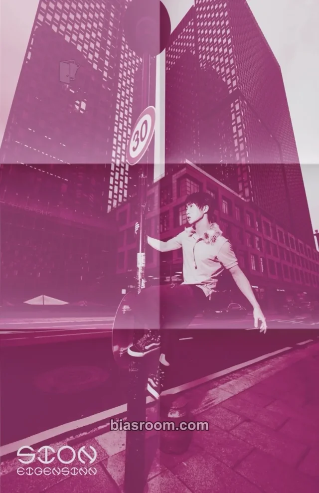Sion - Sion - eigensinn Album album inclusion poster