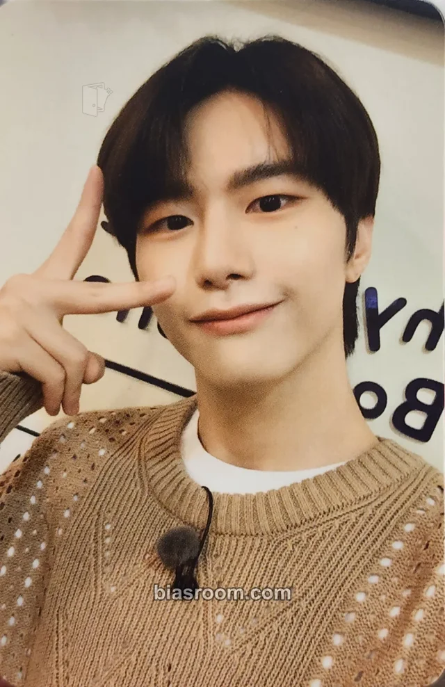 VICTON - Seungsik - Toniiminii MD Other character card merch photocard cushion