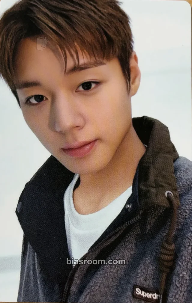 Park Jihoon - Other superdry photocard set pop-up