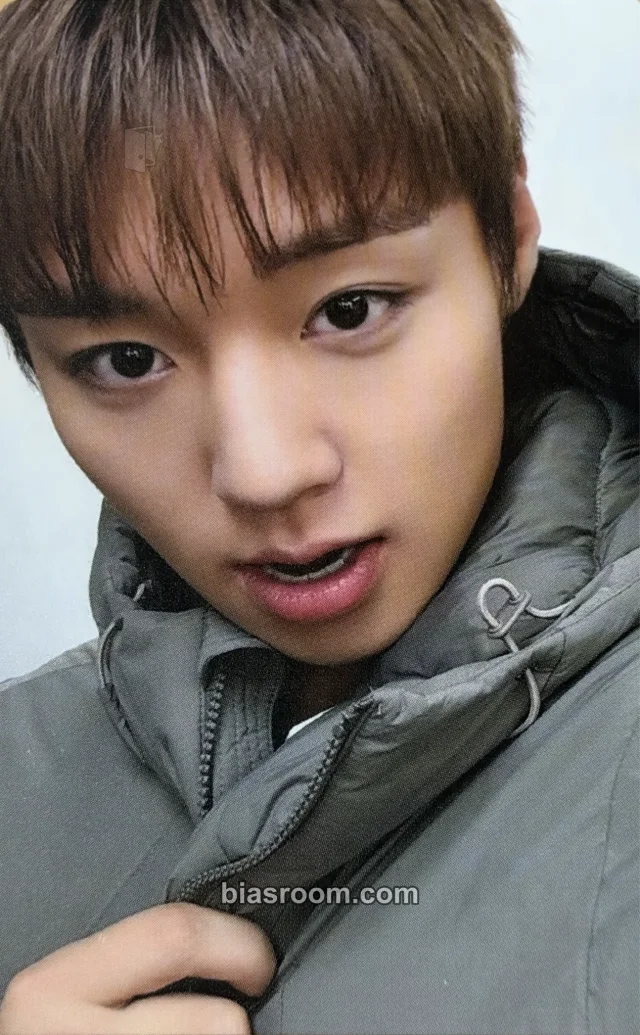 Park Jihoon - Other superdry photocard set pop-up