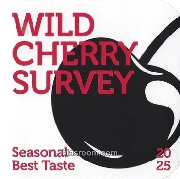 Wild Cherry Photocard - ICHILLIN’ - ICHILLIN’ K-pop photocard