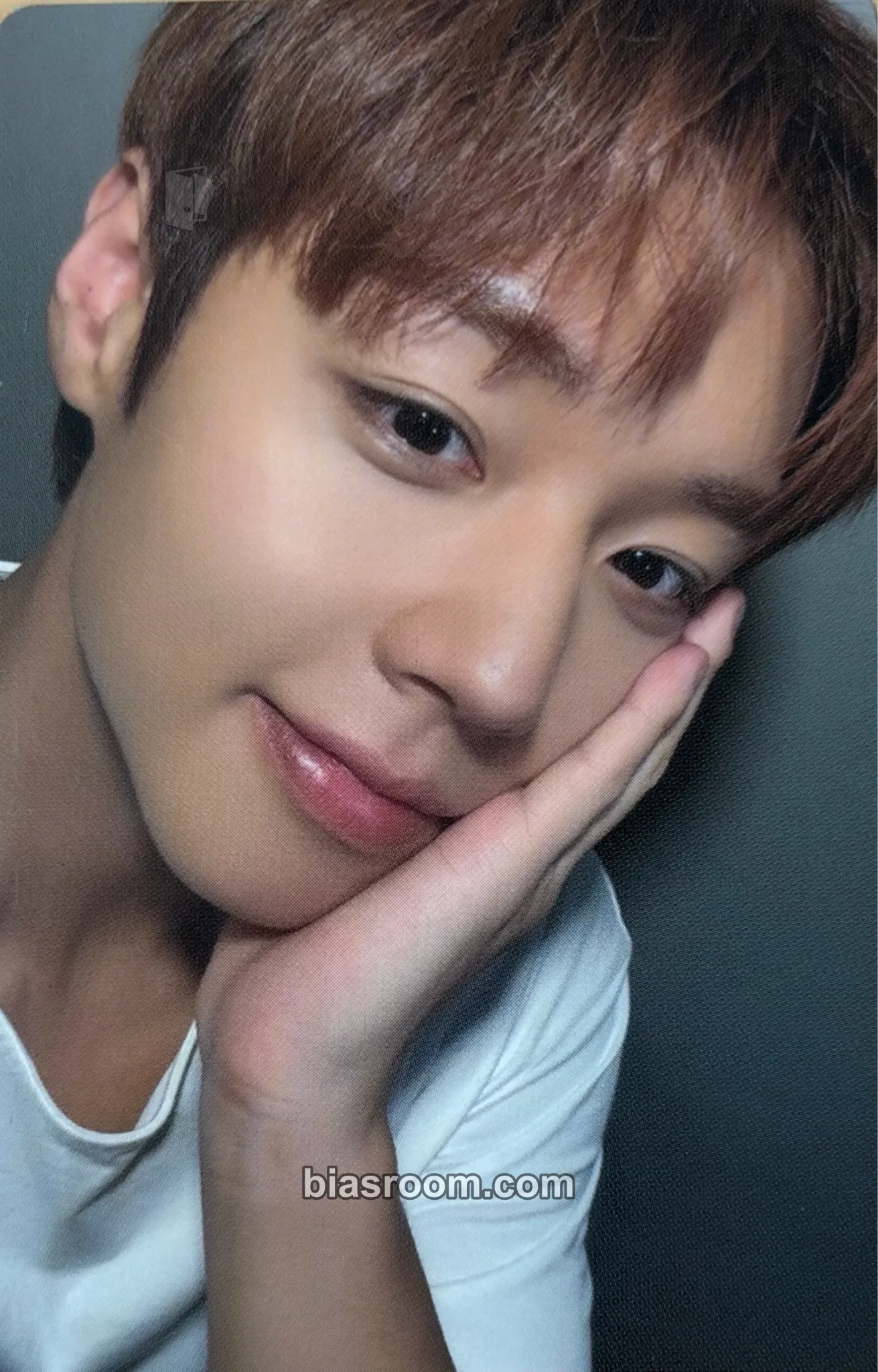2026 ASIA FANCON ENCORE IN SEOUL 小卡 - Park Jihoon - Park Jihoon K-pop 小卡