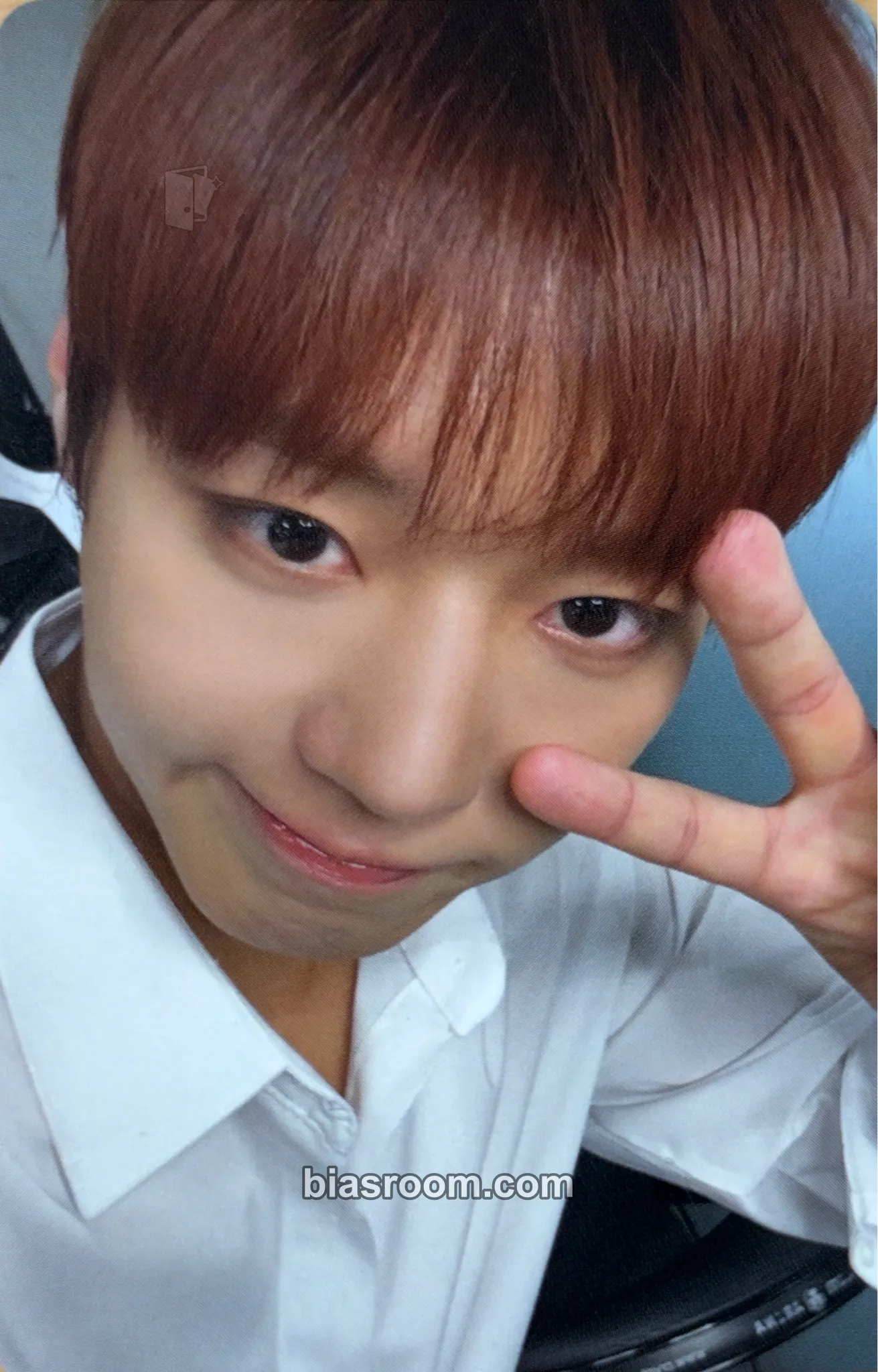 2026 ASIA FANCON ENCORE IN SEOUL Photocard - Park Jihoon - photocard K-pop di Park Jihoon