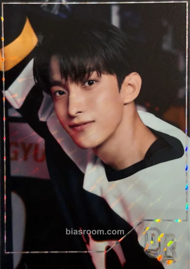 SEVENTEEN - DK - 2025 Seventeen's Home Merchandise Other japan merch photocard trading card