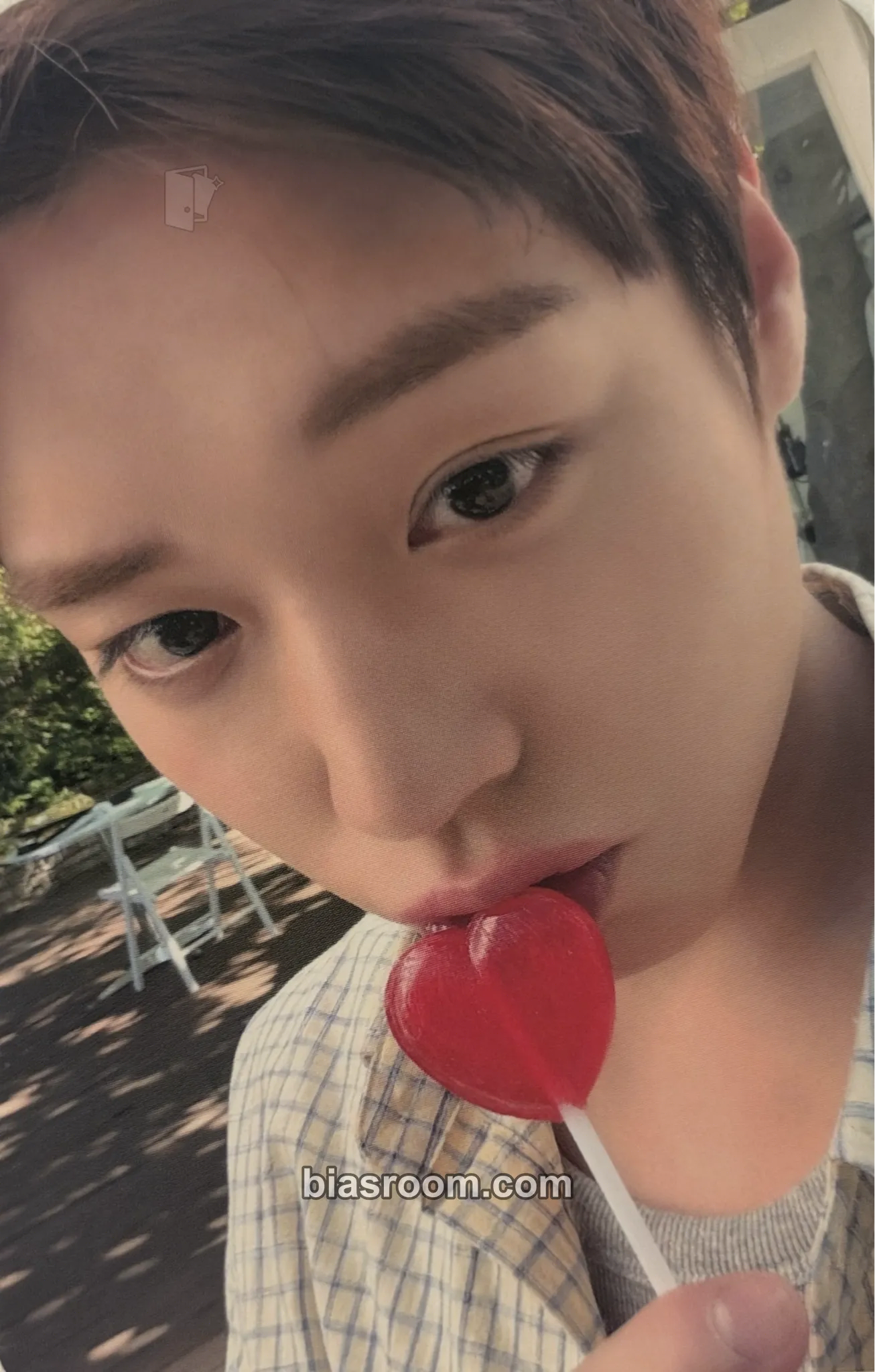 FORMENT 小卡 - Park Jihoon - Park Jihoon K-pop 小卡