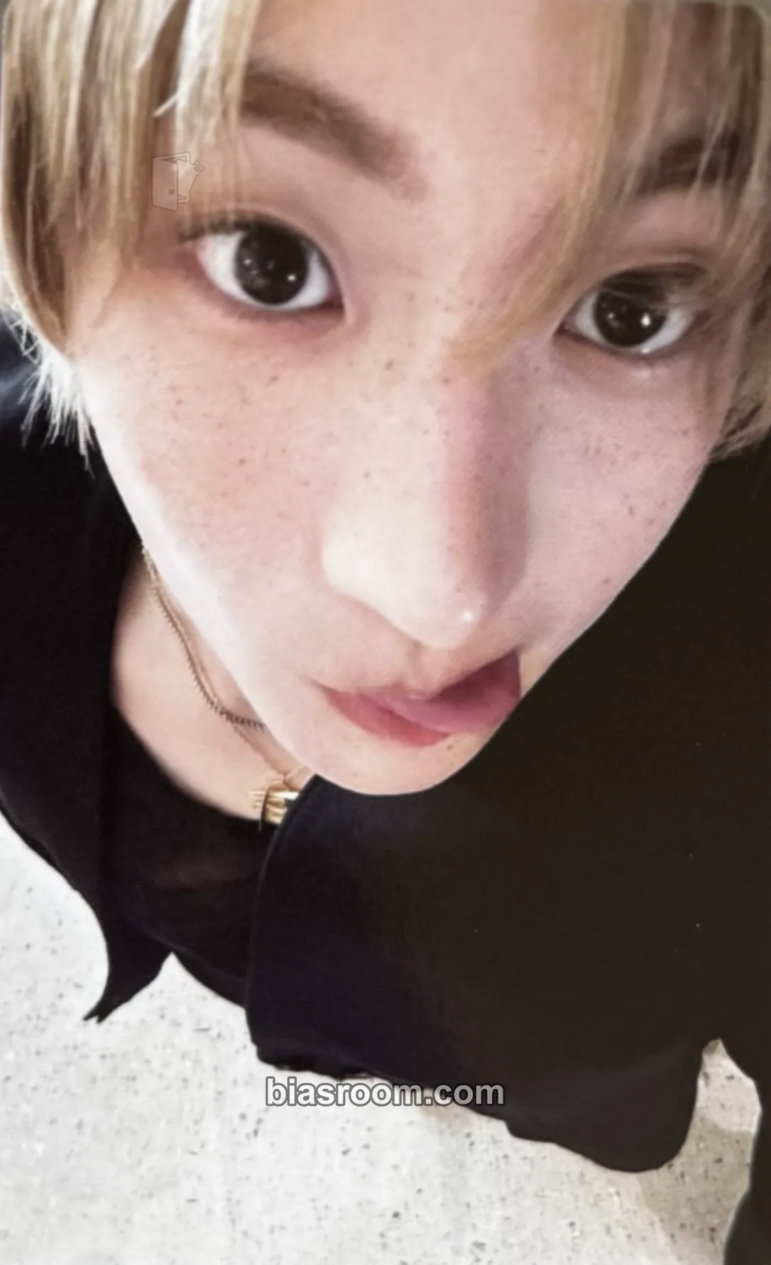 Anton 2025 Season's Greetings Photocard - RIIZE - RIIZE K-pop photocard