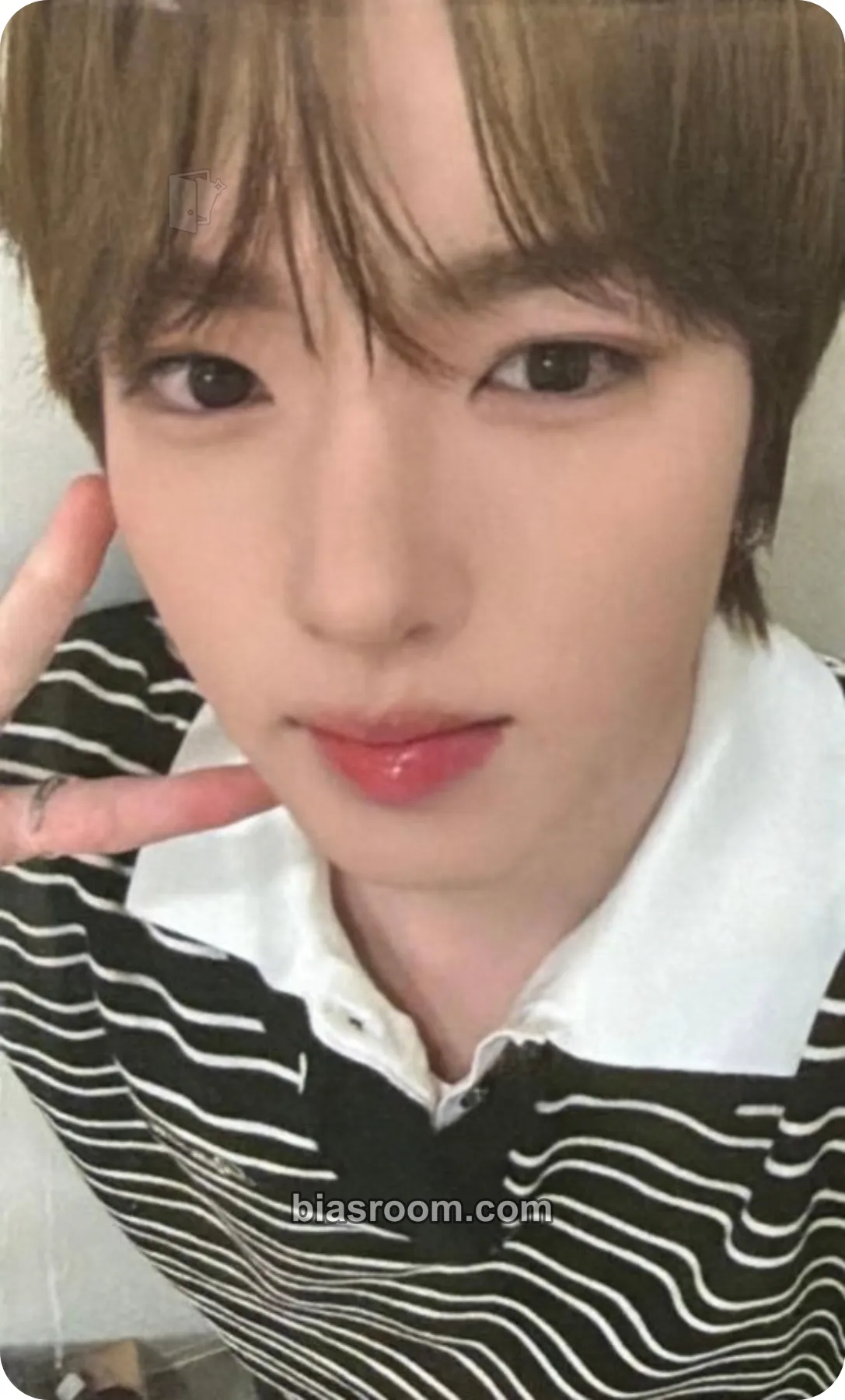 Sakuya YO-I-DON! / BOY MEETS GIRL Photocard - NCT WISH - NCT WISH K-pop photocard