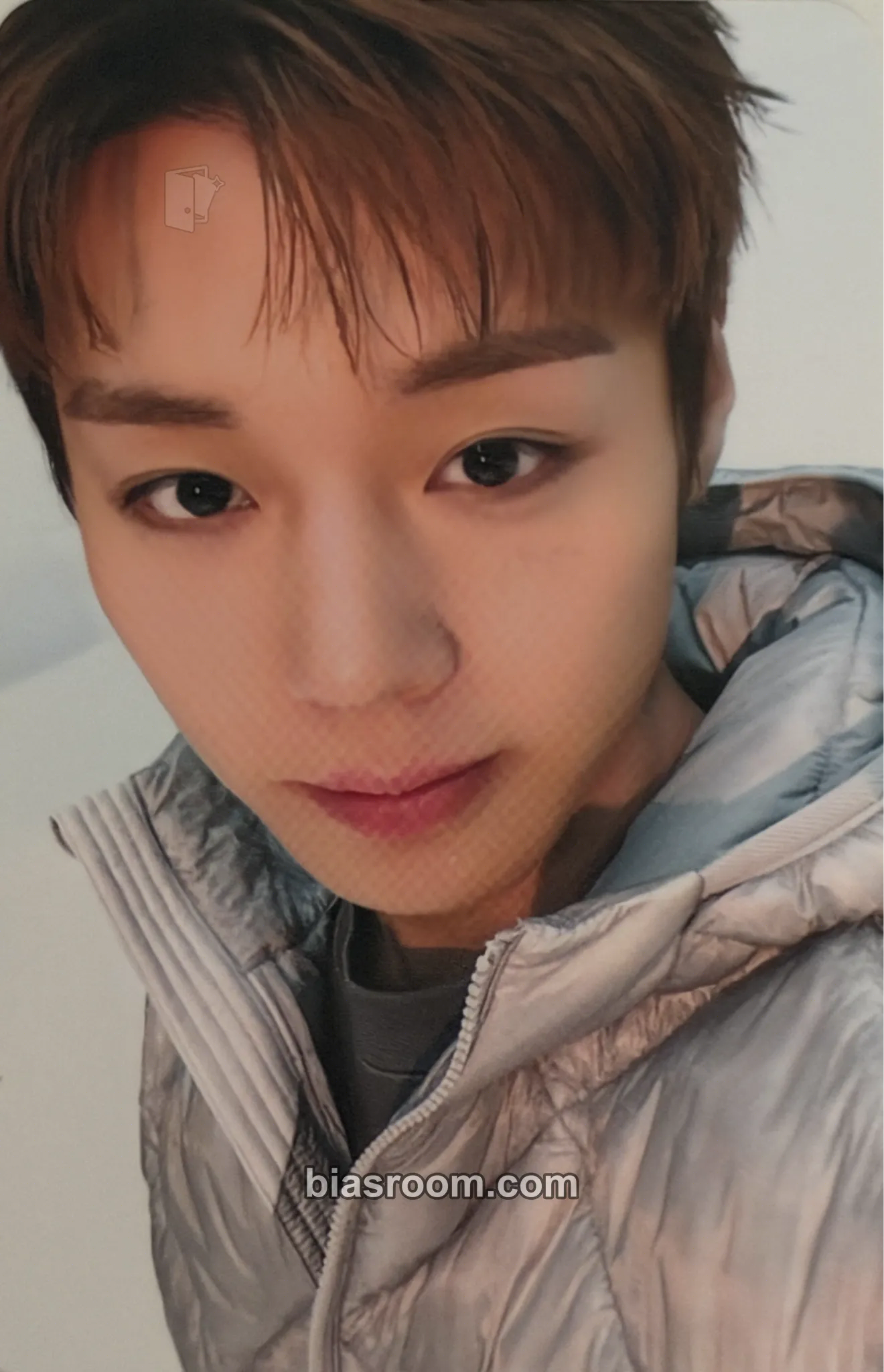 Jihoon Superdry 小卡 - Park Jihoon - Park Jihoon K-pop 小卡