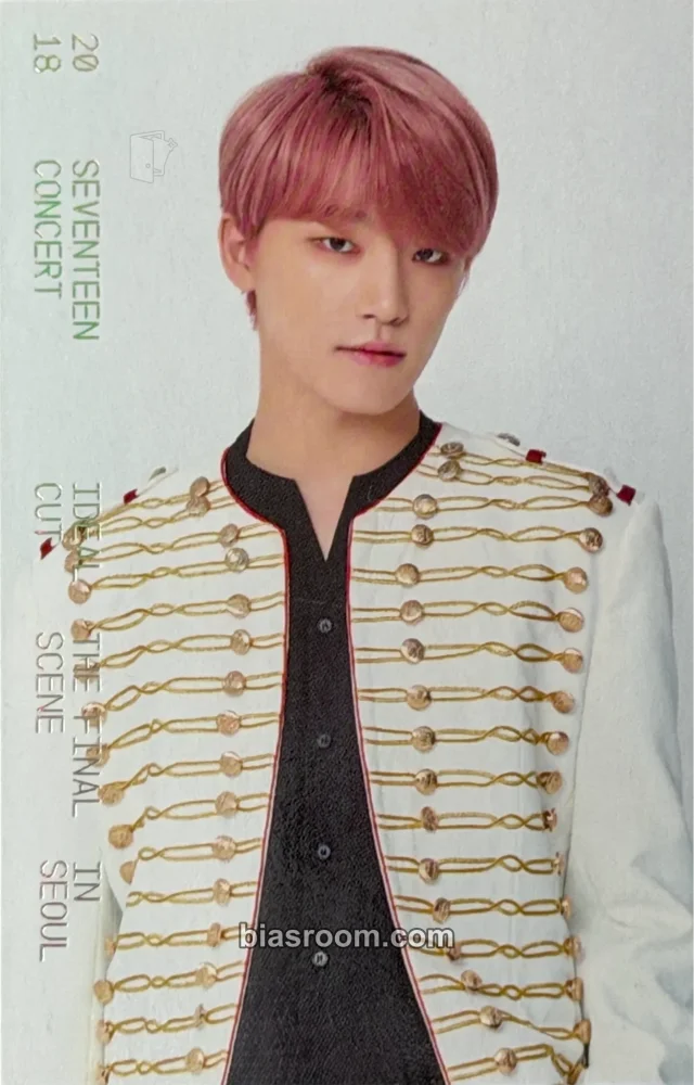 Photocard K-pop Dino SEVENTEEN [IDEAL CUT] CONCERT