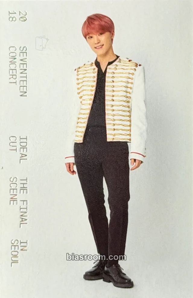 Photocard K-pop Dino SEVENTEEN [IDEAL CUT] CONCERT