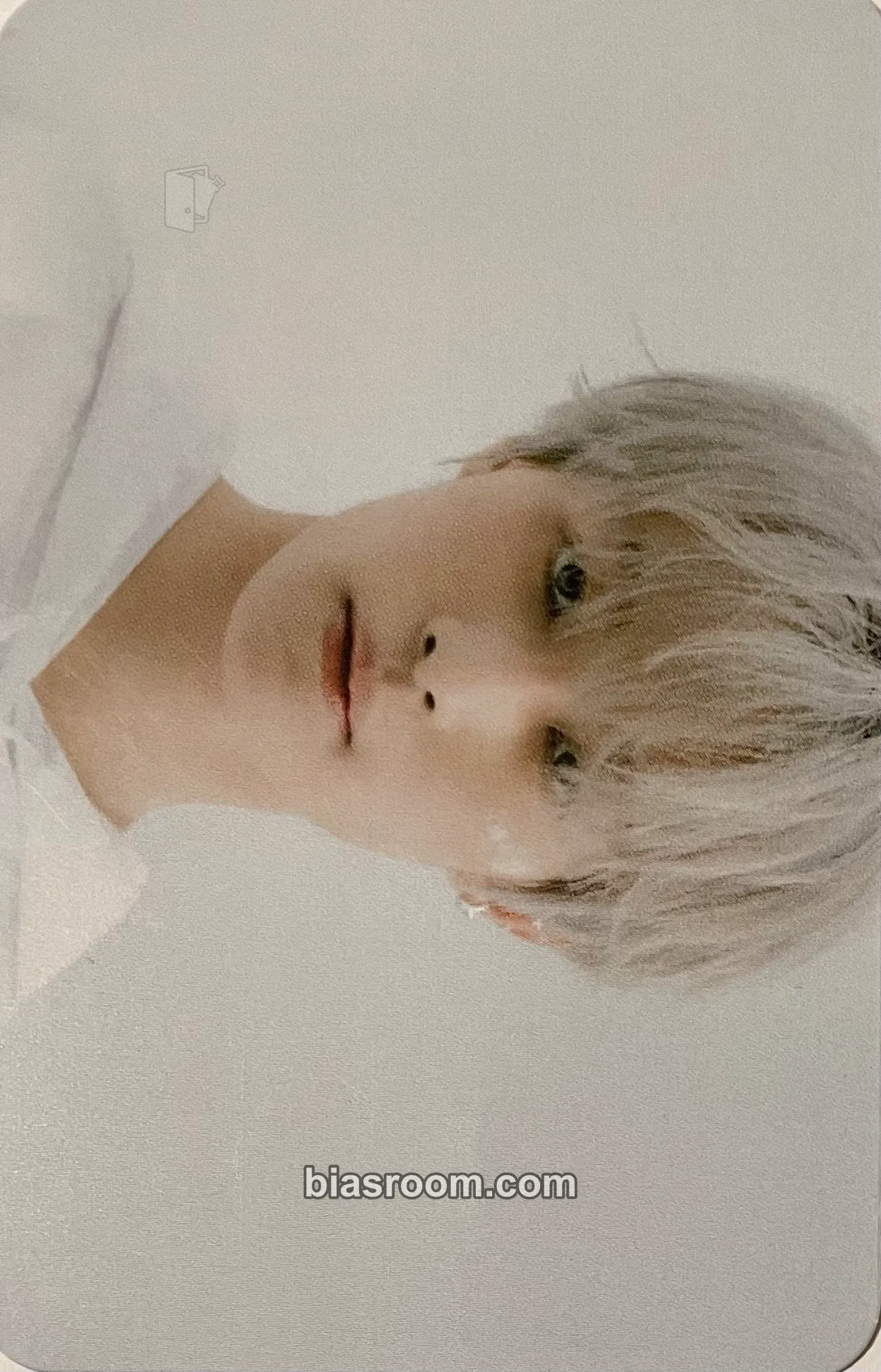 Yangyang 2021 Season's Greetings 小卡 - WayV - WayV K-pop 小卡