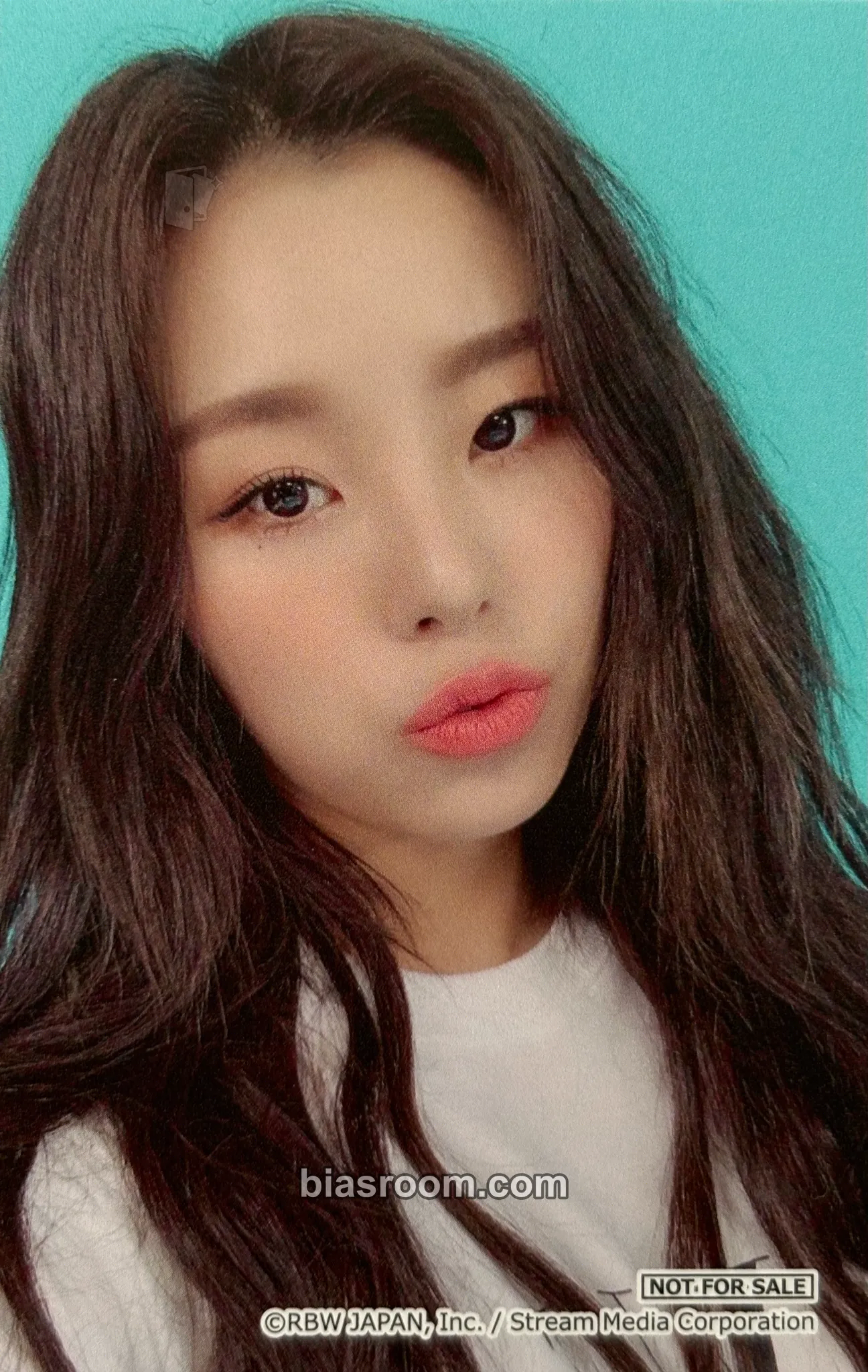 Wheein Japan Fanclub 小卡 - MAMAMOO - MAMAMOO K-pop 小卡
