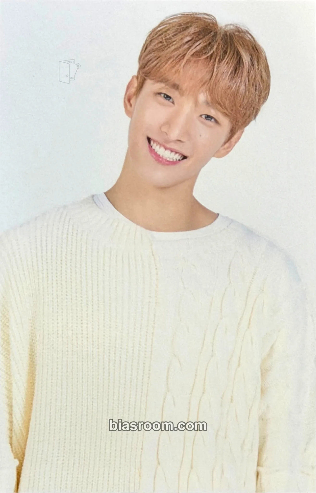 DK 2020 4TH SVT IN CARAT LAND Photocard - SEVENTEEN - SEVENTEEN K-pop photocard