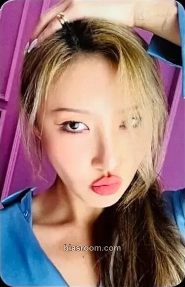 MAMAMOO - Hwasa - Mamamoo 7th Anniversary Other 7th anniversary event daum winner benefit photocard set