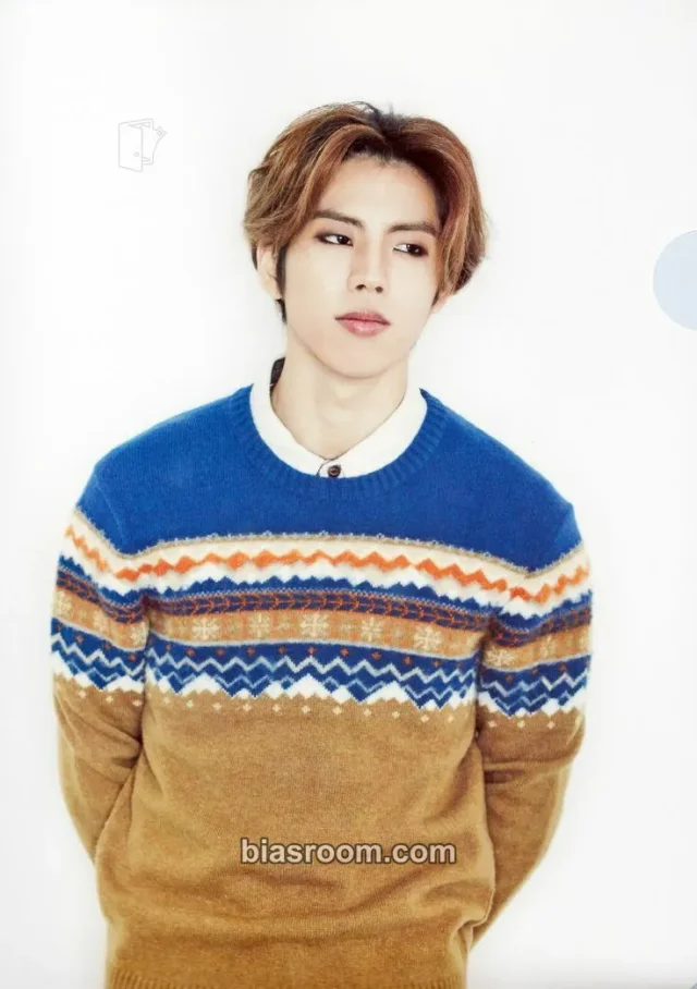 INFINITE - Dongwoo - 2015 INFINITE JAPAN TOUR [DILEMMA] Event clear file/l-holder item set