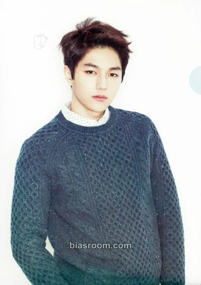 INFINITE - L / Myungsoo - 2015 INFINITE JAPAN TOUR [DILEMMA] Event clear file/l-holder item set