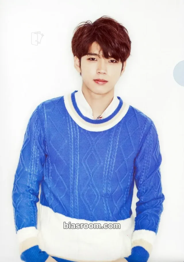 INFINITE - Woohyun - 2015 INFINITE JAPAN TOUR [DILEMMA] Event clear file/l-holder item set