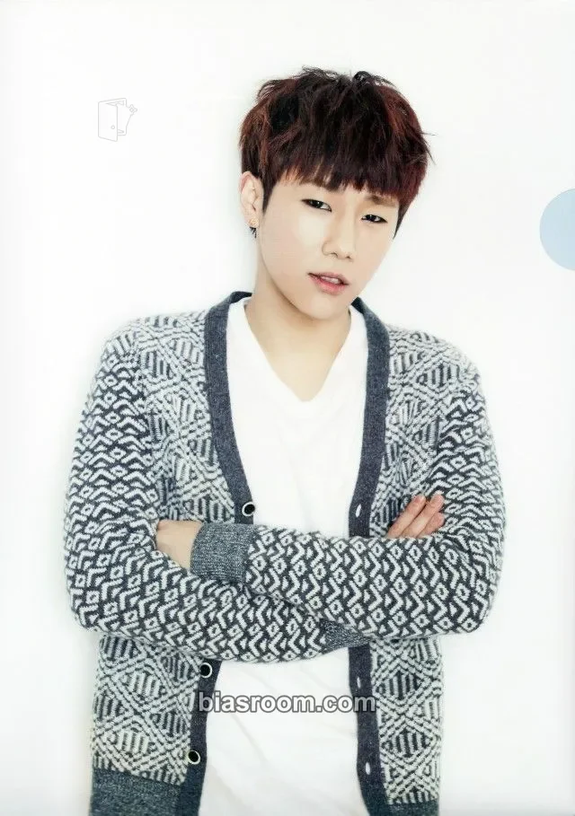 INFINITE - Sungkyu - 2015 INFINITE JAPAN TOUR [DILEMMA] Event clear file/l-holder item set