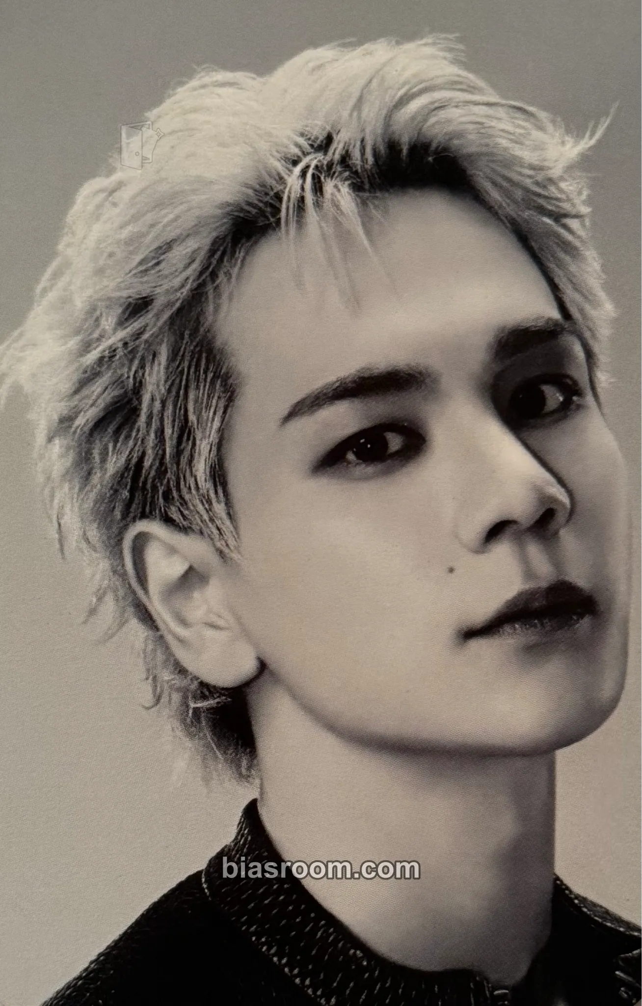 Issei Mamehara ANIMAL Photocard - JO1 - JO1 K-pop photocard