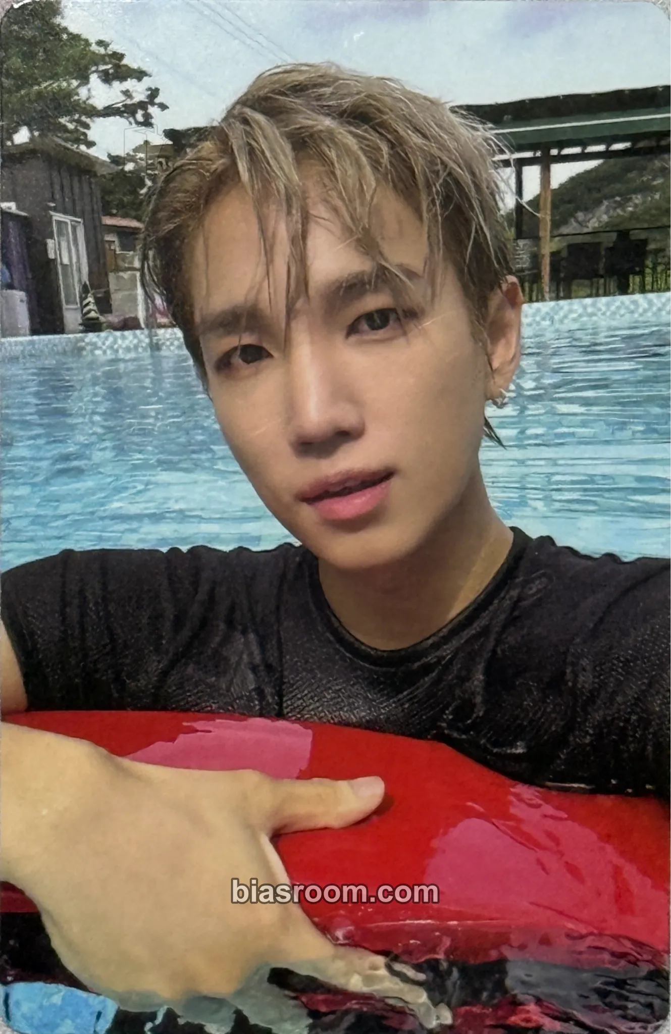 Sungkook VENI VIDI VICI Photocard - VANNER - photocard K-pop di VANNER