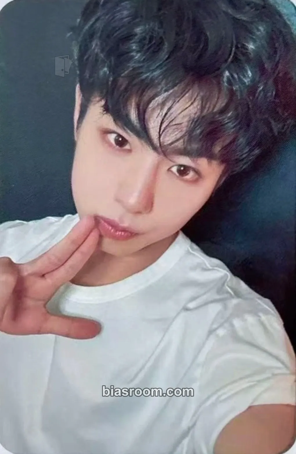 Keita LOVE ANECDOTE(S) Photocard - EVNNE - EVNNE K-pop photocard