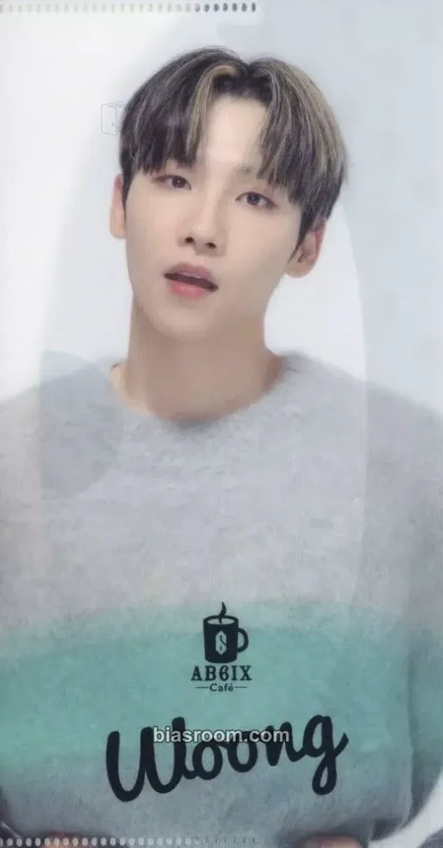 AB6IX - Woong - AB6IX Cafe in Japan Event advance reservation benefit clear file/l-holder