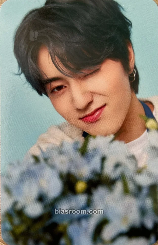 TREASURE - Haruto - Blooming Treasure Other merch photocard toploader kit photocard set