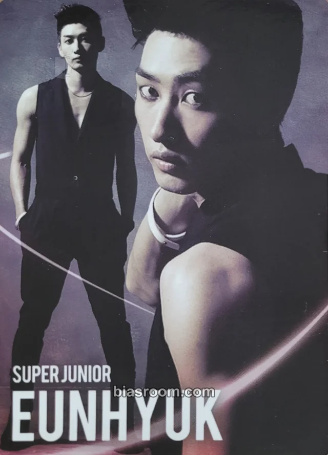 SUPER JUNIOR - Eunhyuk - Star Collection Card Other magnet trading card star collection card