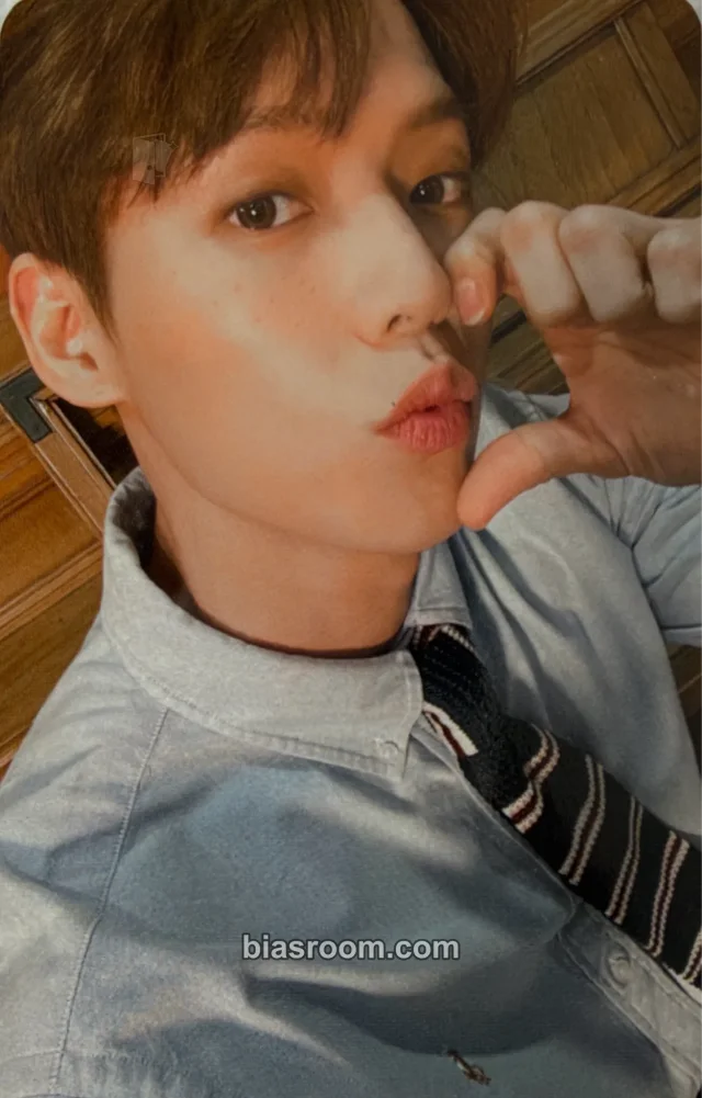 Minhyuk BTOB WIND AND WISH K-pop photocard