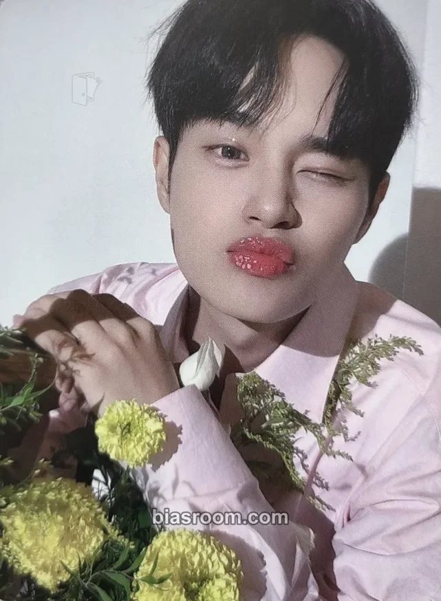 Photocard K-pop Daehwi AB6IX Absolute 6IX
