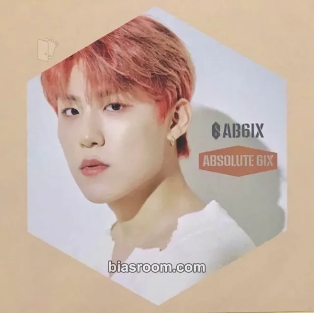 Photocard K-pop Woojin AB6IX Absolute 6IX