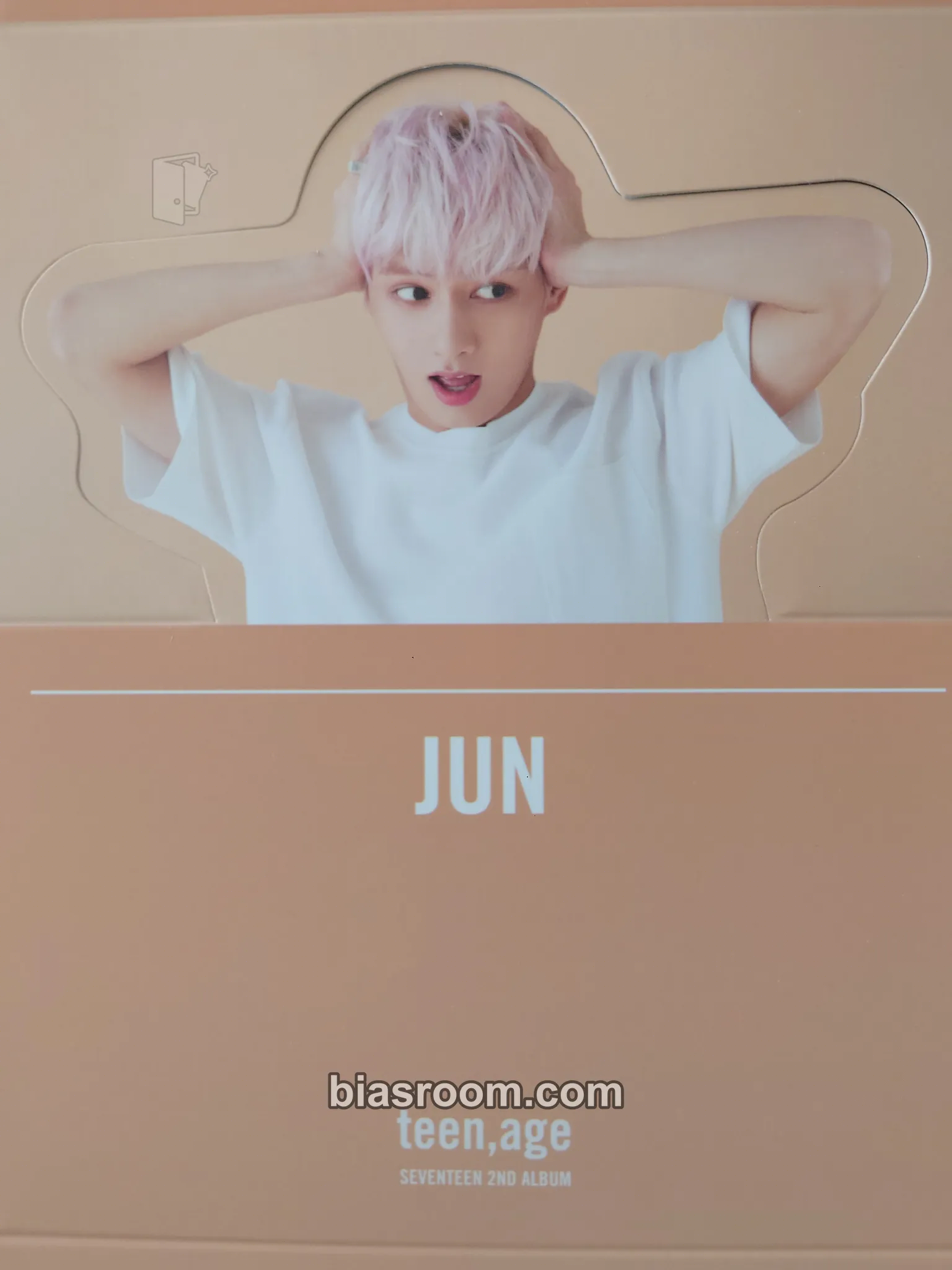 Jun TEEN,AGE Photocard - SEVENTEEN - photocard K-pop di SEVENTEEN