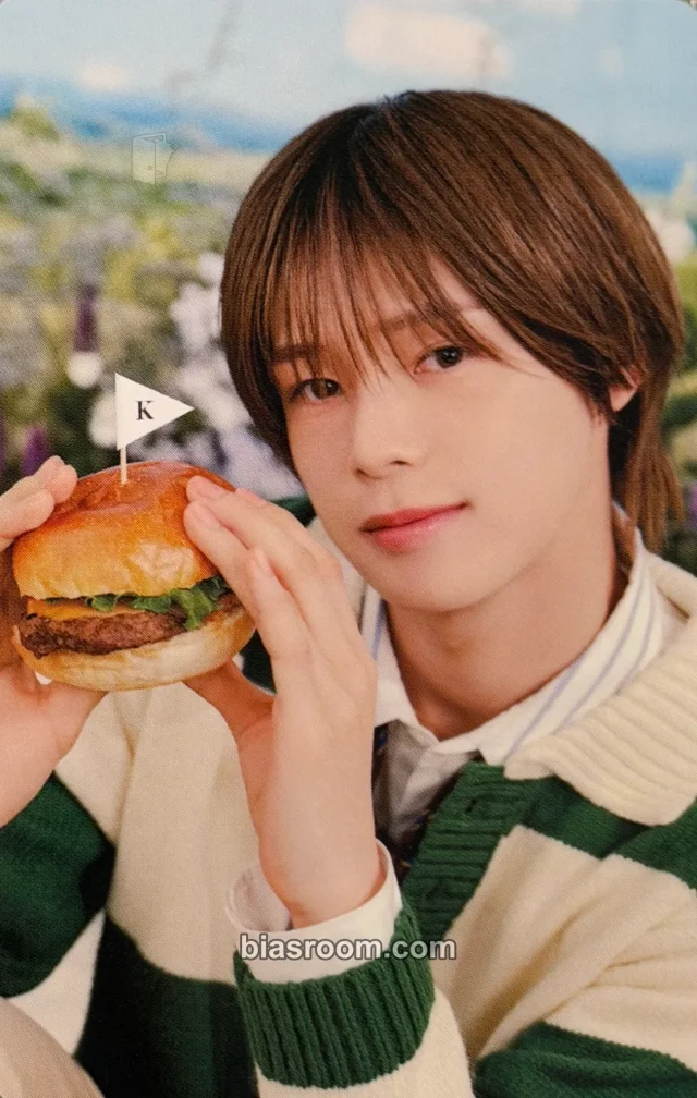 &TEAM - K - &TEAM Birthday Merch Other photocard set 2025 version merch photocard birthday kit