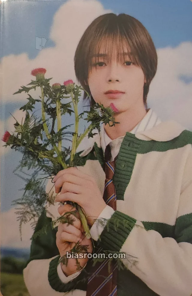 &TEAM - K - &TEAM Birthday Merch Other 2025 version merch photocard t-shirt