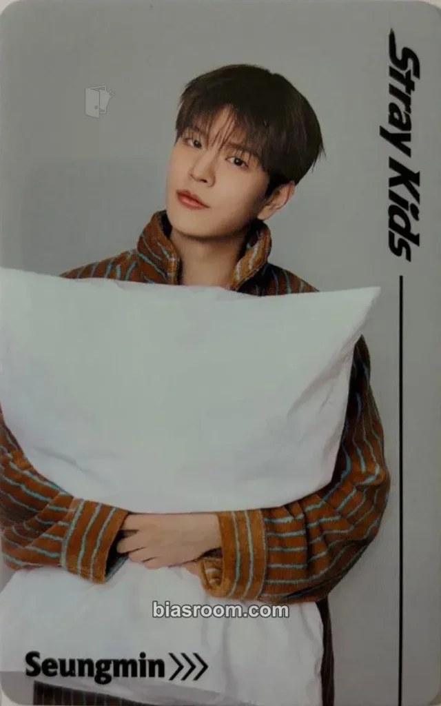Seungmin Stray Kids RUN IT World Tour K-pop 小卡