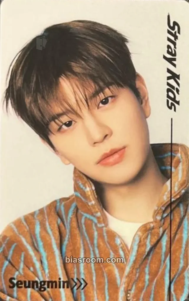 Seungmin Stray Kids RUN IT World Tour K-pop photocard