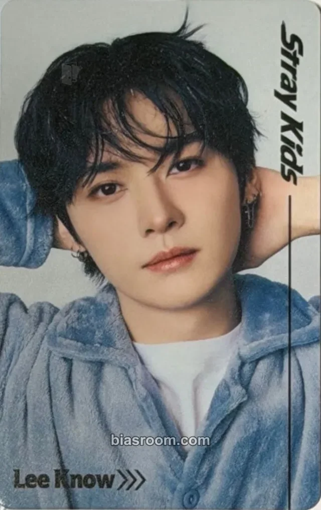 Lee Know Stray Kids RUN IT World Tour K-pop Photocard