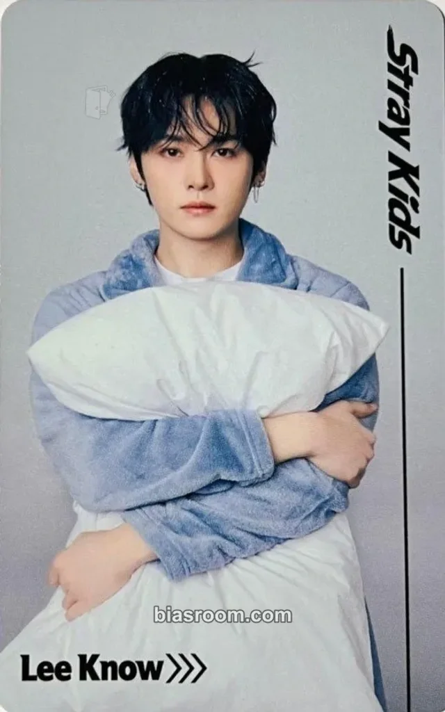 Lee Know Stray Kids RUN IT World Tour K-pop Photocard